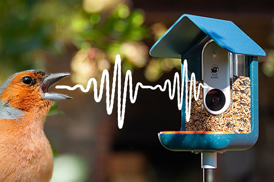 This “Nest Security Camera” for birds lets you bird-watch right from inside  your house! - Yanko Design